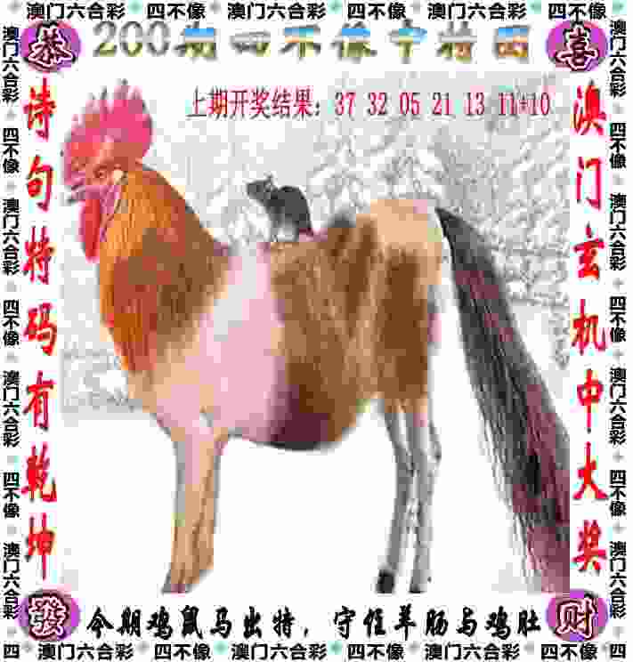文一男篮签下约三名CBA级别悍将 锁定明年卫冕的目标