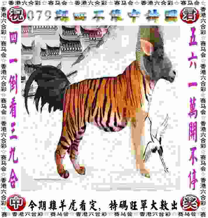 文一男篮再传捷报 首次参加CBDL联赛拿下赛区冠军